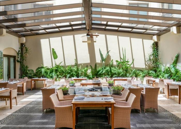 Patio los limoneros Vincci Selección la Plantación del Sur 5* Tenerife Patio los limoneros Vincci Selección la Plantación del Sur 5* Tenerife